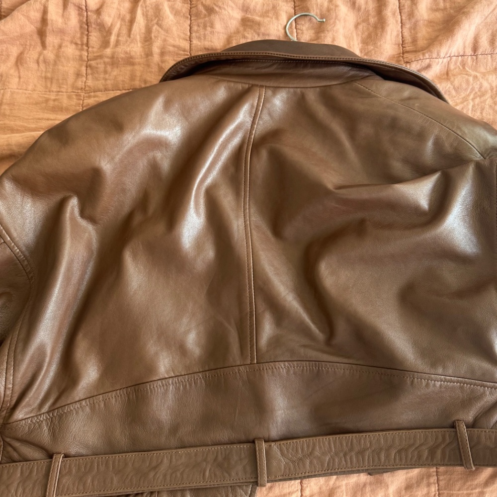 Lamarque Dylan Jacket In Tan - image 5
